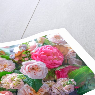 Mixed flowers by Assaf Frank